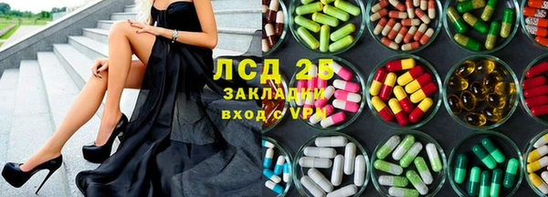 прущие грибы Алексеевка