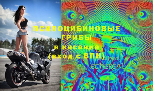 прущие грибы Алексеевка